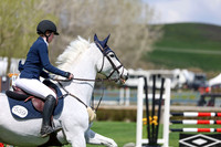 2026 - Shea - Bow Valley II - Sunday May 17th - 07496