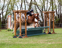 Pony