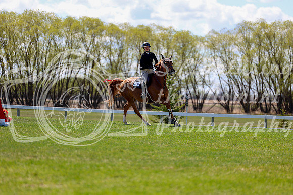 01973 - 2026 - Shea - Edmonton Classic - Thursday May 21st