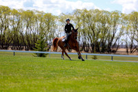 01977 - 2026 - Shea - Edmonton Classic - Thursday May 21st