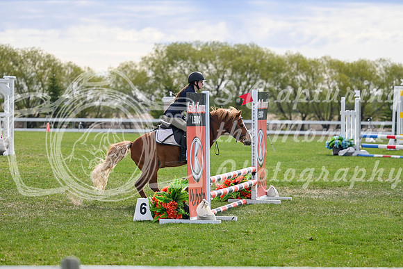 04203 - 2026 - Petra - Edmonton Classic - Friday May 22nd