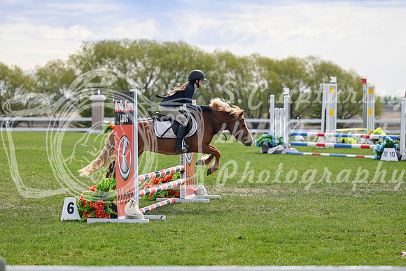 04205 - 2026 - Petra - Edmonton Classic - Friday May 22nd