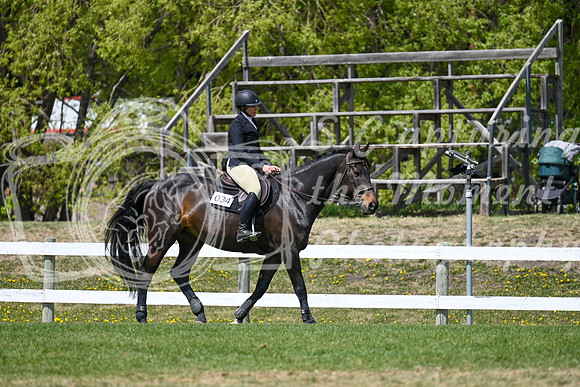 08771 - 2026 - Petra - Edmonton Classic - Friday May 22nd