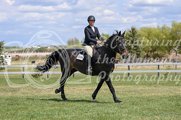 08780 - 2026 - Petra - Edmonton Classic - Friday May 22nd