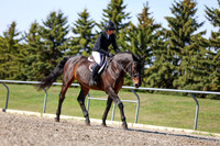 07506 - 2026 - Julia - Edmonton Classic - Saturday May 23rd