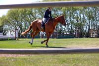 05887 - 2026 - Conor - Edmonton Classic - Saturday May 23rd