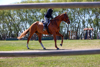 05893 - 2026 - Conor - Edmonton Classic - Saturday May 23rd
