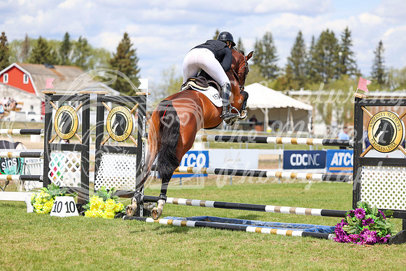 02599 - 2026 - Shea - Edmonton Classic - Saturday May 23rd