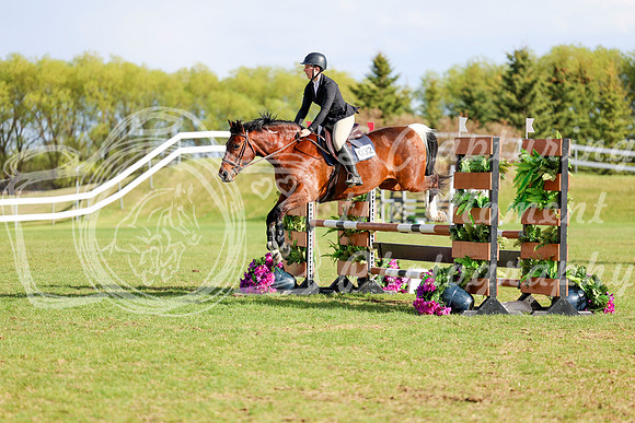16644 - 2026 - Shea - Edmonton Classic - Saturday May 23rd