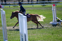 03537 - 2026 - Petra - Edmonton Classic - Saturday May 23rd