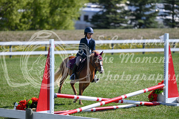 03542 - 2026 - Petra - Edmonton Classic - Saturday May 23rd