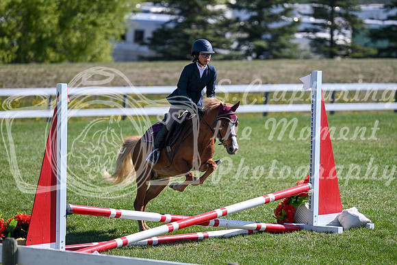 03544 - 2026 - Petra - Edmonton Classic - Saturday May 23rd