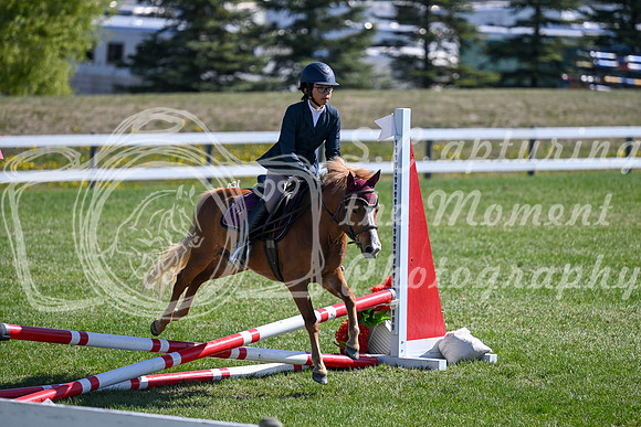 03546 - 2026 - Petra - Edmonton Classic - Saturday May 23rd