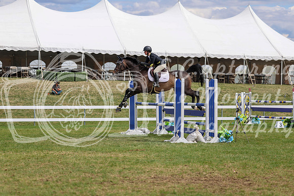 09995 - 2026 - Shea - Edmonton Classic - Saturday May 23rd