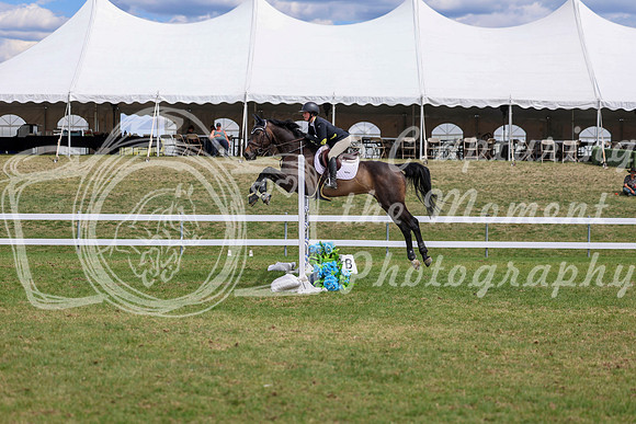 10000 - 2026 - Shea - Edmonton Classic - Saturday May 23rd