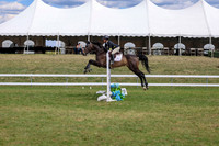 10001 - 2026 - Shea - Edmonton Classic - Saturday May 23rd