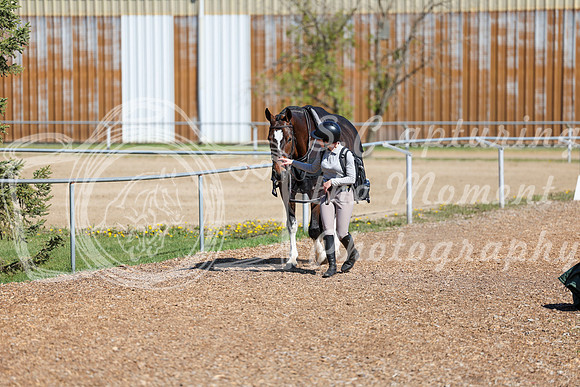 01764 - 2026 - Shea - Edmonton Classic - Saturday May 23rd