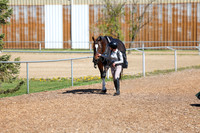01769 - 2026 - Shea - Edmonton Classic - Saturday May 23rd