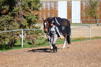 01779 - 2026 - Shea - Edmonton Classic - Saturday May 23rd