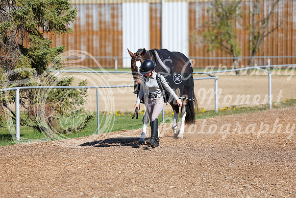 01778 - 2026 - Shea - Edmonton Classic - Saturday May 23rd