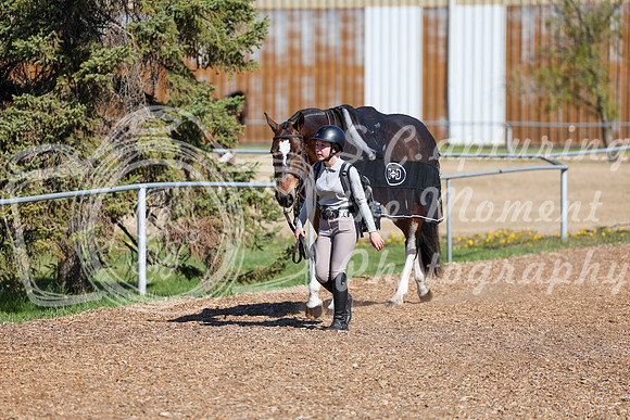 01780 - 2026 - Shea - Edmonton Classic - Saturday May 23rd