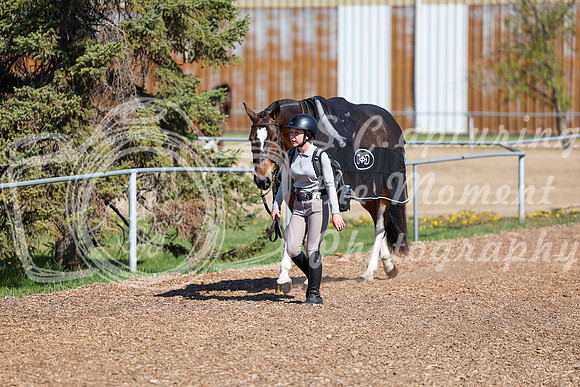 01781 - 2026 - Shea - Edmonton Classic - Saturday May 23rd