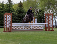 Pony