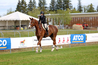 00035 - 2026 - Shea - Edmonton Classic - Sunday May 24th