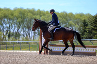 07038 - 2026 - Julia - Edmonton Classic - Sunday May 24th