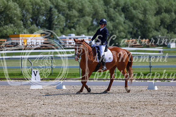 2025 - Dressage Festival - Saturday July 5th - 04795