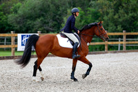 2025 - Haylee - Picco Horse Show - Saturday July 26th 01008