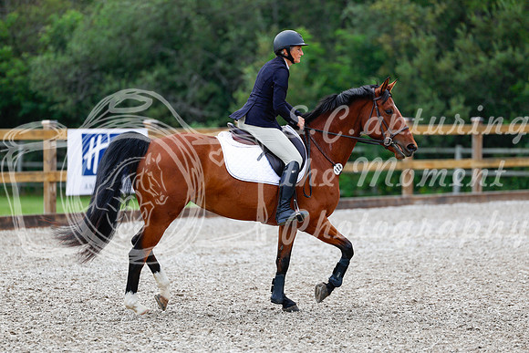 2025 - Haylee - Picco Horse Show - Saturday July 26th 01008