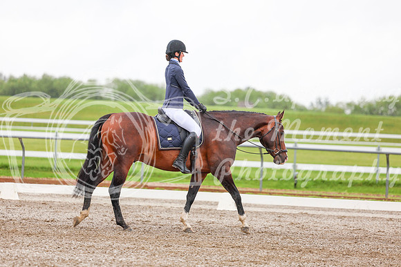 2025 - Dressage Festival - Sunday July 6th - 02263