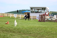 2025 - Shea - Teesdale - Thursday July 24th - 03902