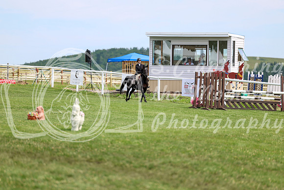 2025 - Shea - Teesdale - Thursday July 24th - 03902
