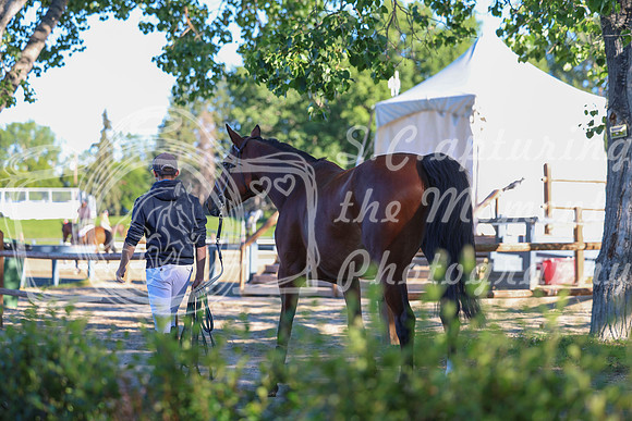 2025 - Shea - Mid Summer Classic I - Saturday July 12th - 02404