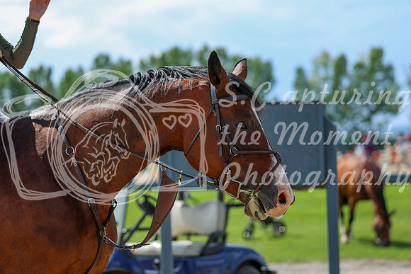 2025 - Shea - Rocky Mountain Classic I - Wednesday August 6th - 07006