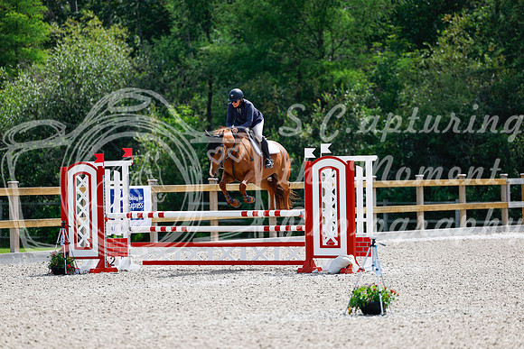 2025 - Haylee - Picco Horse Show - Sunday July 27th 04291
