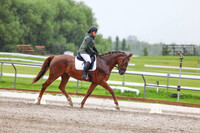 2025 - Dressage Festival - Sunday July 6th - 03593