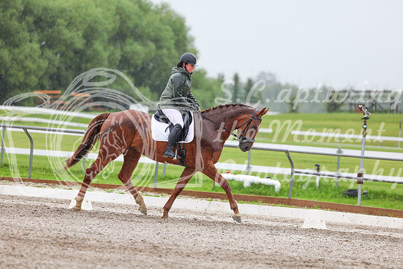 2025 - Dressage Festival - Sunday July 6th - 03593