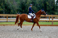 2025 - Haylee - Picco Horse Show - Saturday July 26th 00525
