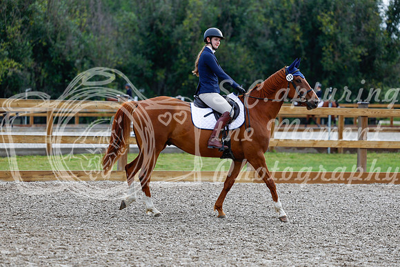 2025 - Haylee - Picco Horse Show - Saturday July 26th 00525