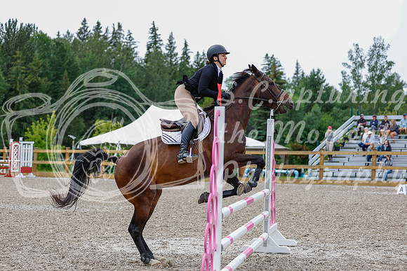2025 - Haylee - Picco Horse Show - Friay July 25th 02547