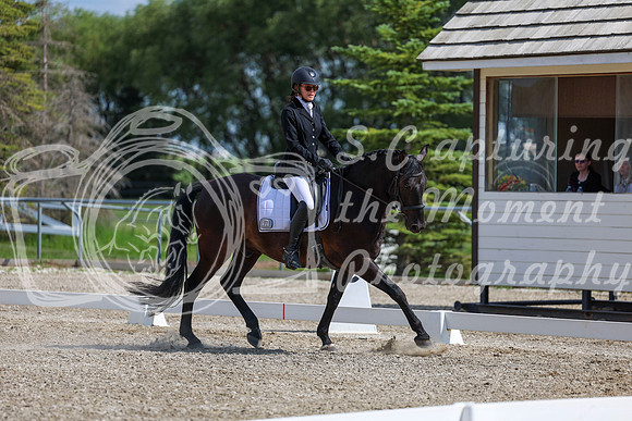 2025 - Dressage Festival - Saturday July 5th - 15239