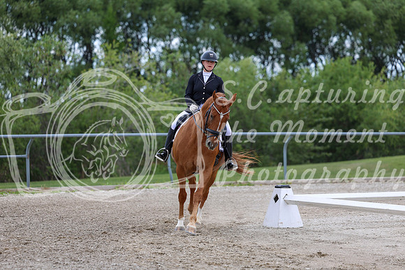 2025 - Dressage Festival - Saturday July 5th - 11171