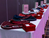 2026 - Jump Alberta Gala - Saturday January 10th - 00013