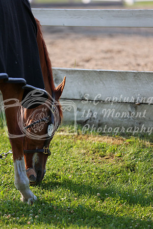 2025 - Mykenzi - Jump With Hope - Thursday July 17th 00010
