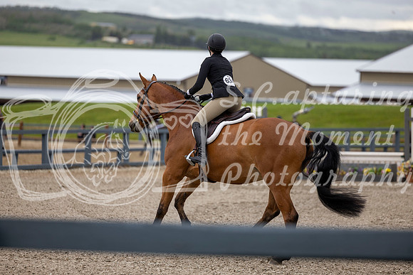 00043 - Shea - 2026 June Classic I - Wednesday June 10th