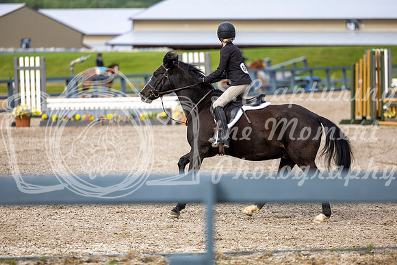 00210 - Shea - 2026 June Classic I - Wednesday June 10th