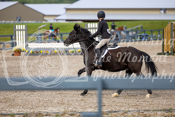 00211 - Shea - 2026 June Classic I - Wednesday June 10th
